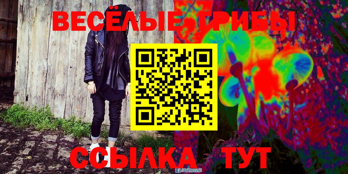 Галлюциногенные грибы Psilocybe Шуя
