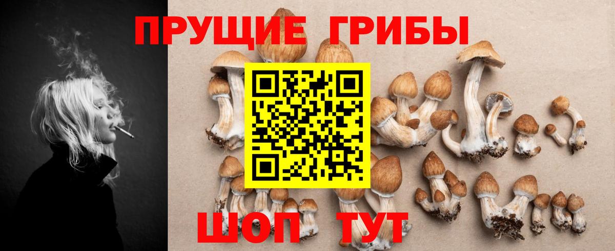 Псилоцибиновые грибы Cubensis  Вход с VPN  Шуя  Псилоцибиновые грибы мицелий 